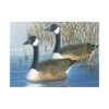 Paint by Numbers the Geese