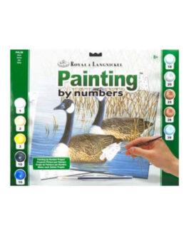 Paint by Numbers the Geese