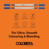 Alcohol Based Marker Set 5 markers 2 tips+Coloring sheets Colorista Heroes of Manga - Image 6