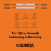 Alcohol Based Marker Set 8pcs 2 tip Colorista Natural Tones - Image 3