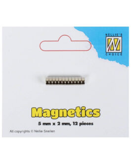 Käsitöö Magnetid 5*2mm (12tk)
